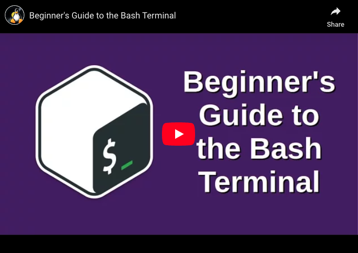 Beginner's Guide to the Bash Terminal | Joe Collins